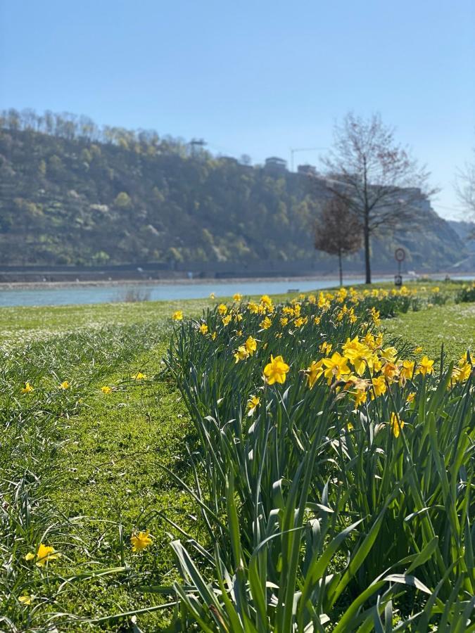Kusch'Lige Kleine Wohnung Koblenz  Buitenkant foto